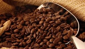 Abierta convocatoria para el IV Encuentro Internacional de Cafés de Especialidad