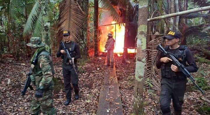 FANB destruyó campamentos utilizados por los grupos Tancol en Amazonas
