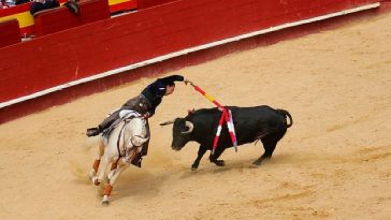 corridas de toros