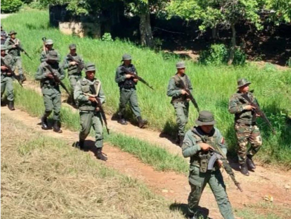 Fanb destruyó en Zulia 6 hectáreas de marihuana camuflada con frijol