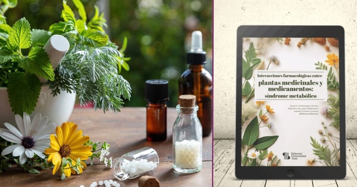 Los riesgos y beneficios del uso de plantas medicinales combinadas con medicamentos