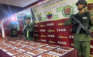Fanb incauta más de 24 kilos de droga en alimentos para mascotas en Táchira