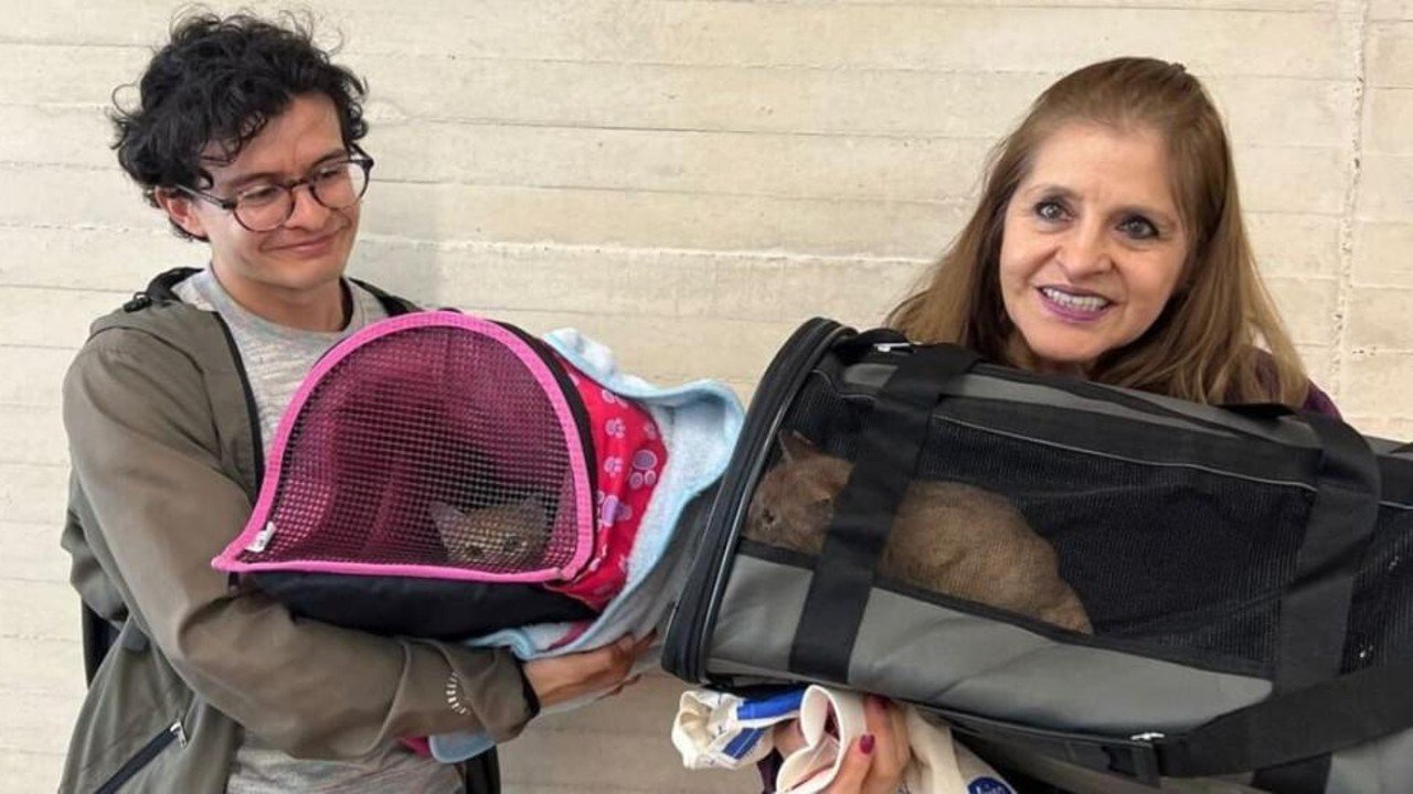 jornada de adopcion en bogota adopta
