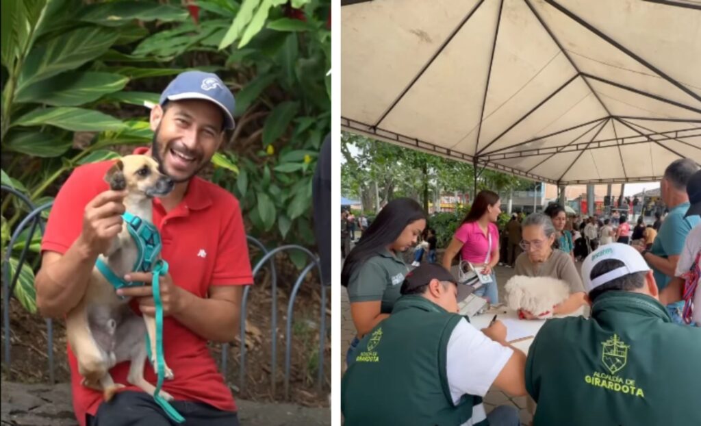 Más de 160 animales fueron atendidos durante el Festival de Bienestar Animal en Girardota Más de 160 animales fueron atendidos durante el Festival de Bienestar Animal en Girardota